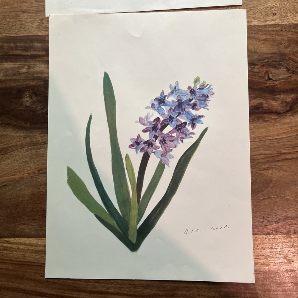 Vintage 1940s Arlette Davids Spring Flowers Garrick Dutch Hyacinth Print #14